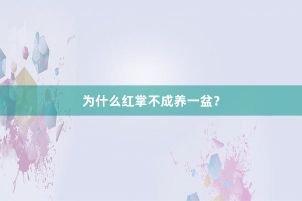为什么红掌不成养一盆？