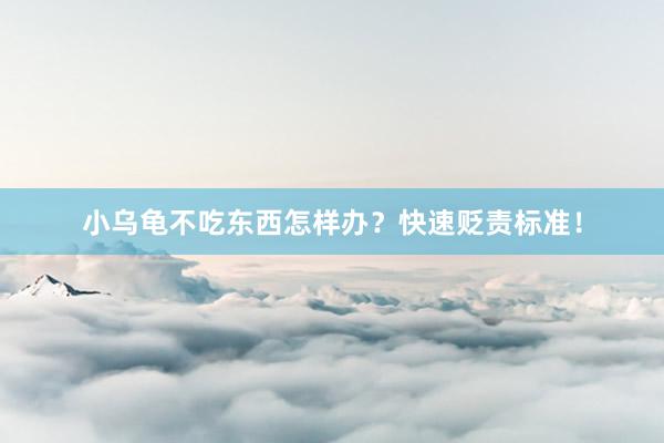 小乌龟不吃东西怎样办?快速贬责标准!