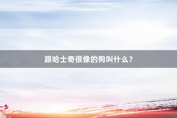 跟哈士奇很像的狗叫什么？